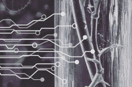 Glamour of Internet of Things