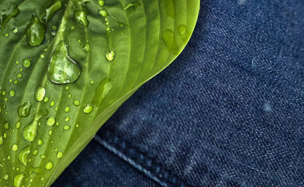 Chic Words | Interview Par.co Denim
